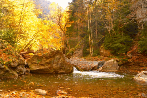 Rkoni –Autumn paradise in Georgia geotv.ge